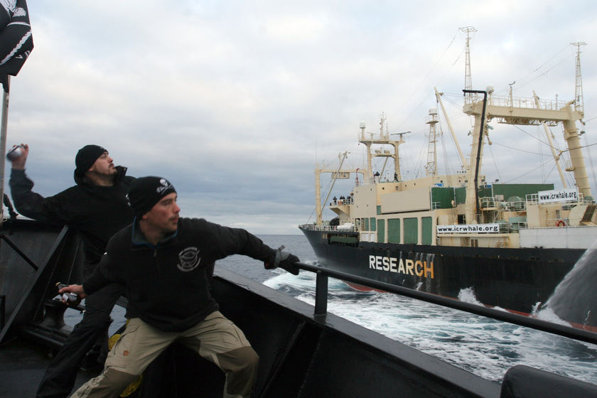 Sea Shepherd Pictures