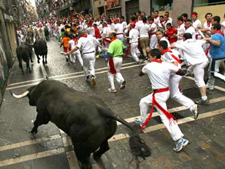 running of the bulls.
